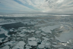 На этой неделе было обнаружено, что общая масса льда в Северном Ледовитом океане находится на втором по величине зарегистрированном объеме на начало июля